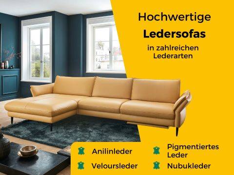 Hochwertige Ledersofas